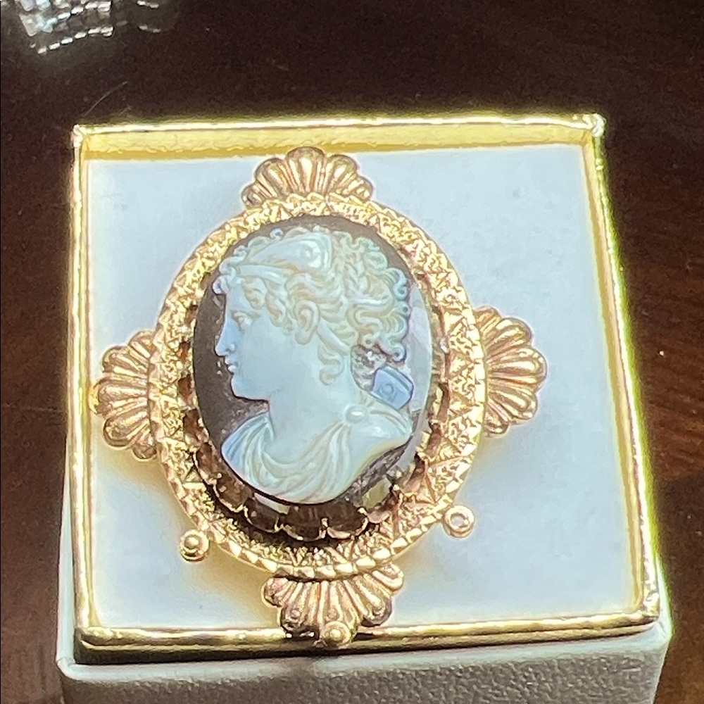 Elegant Gold and Black Cameo Brooch
